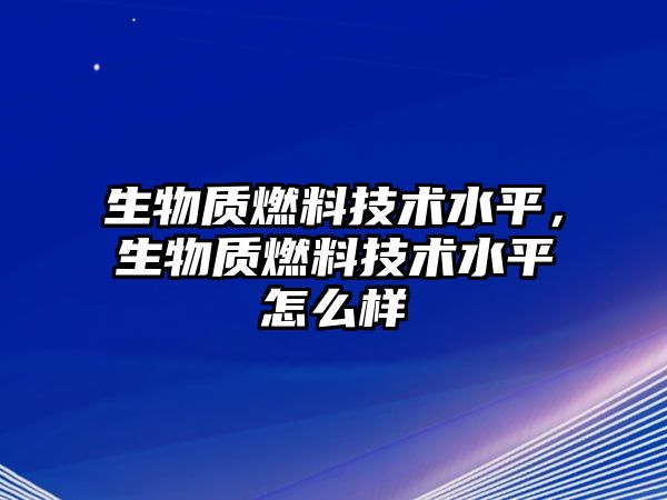 生物質(zhì)燃料技術(shù)水平，生物質(zhì)燃料技術(shù)水平怎么樣