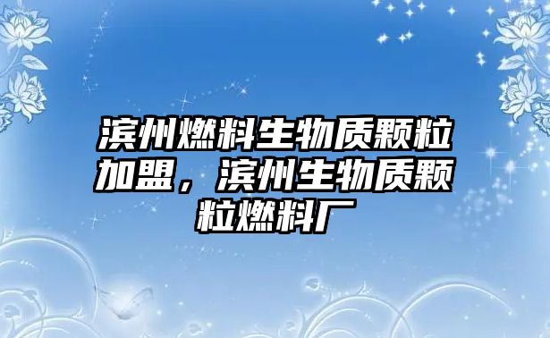 濱州燃料生物質(zhì)顆粒加盟，濱州生物質(zhì)顆粒燃料廠