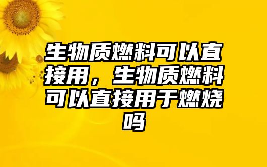 生物質(zhì)燃料可以直接用，生物質(zhì)燃料可以直接用于燃燒嗎