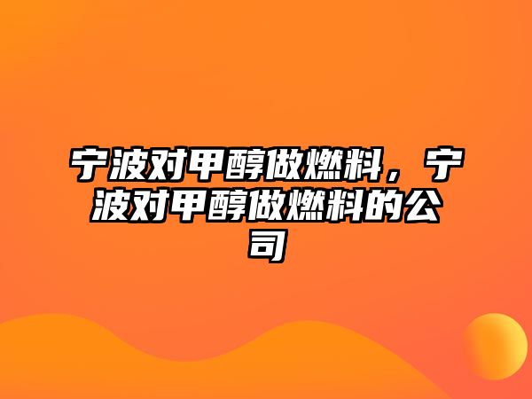 寧波對甲醇做燃料，寧波對甲醇做燃料的公司