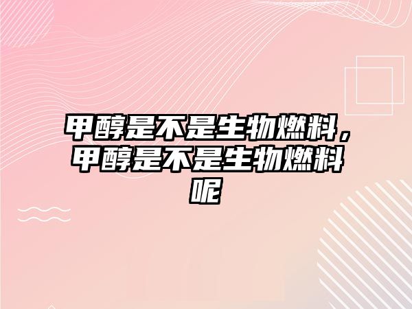 甲醇是不是生物燃料，甲醇是不是生物燃料呢