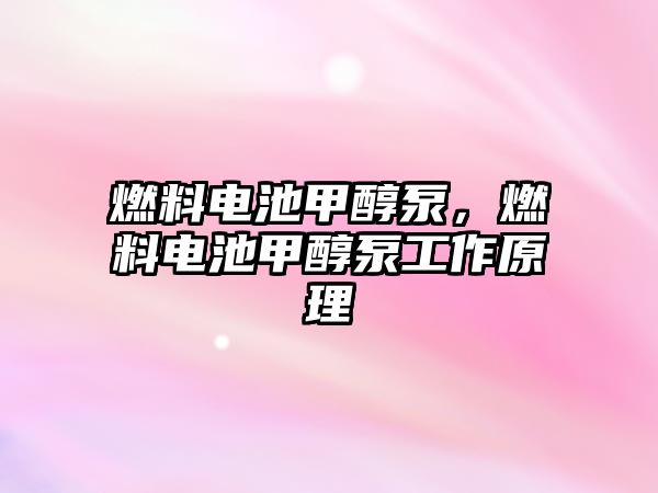 燃料電池甲醇泵，燃料電池甲醇泵工作原理