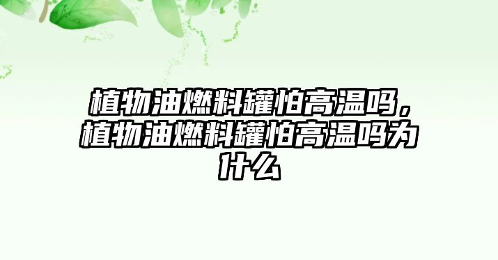 植物油燃料罐怕高溫嗎，植物油燃料罐怕高溫嗎為什么