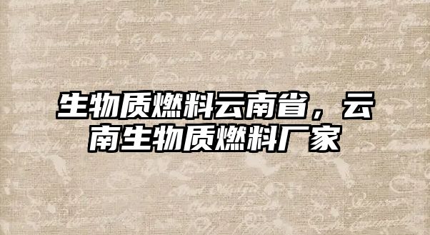 生物質(zhì)燃料云南省，云南生物質(zhì)燃料廠家