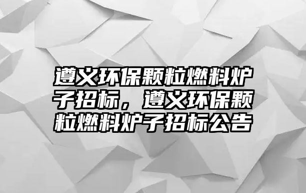 遵義環(huán)保顆粒燃料爐子招標(biāo)，遵義環(huán)保顆粒燃料爐子招標(biāo)公告