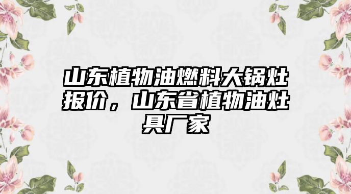 山東植物油燃料大鍋灶報(bào)價(jià)，山東省植物油灶具廠家