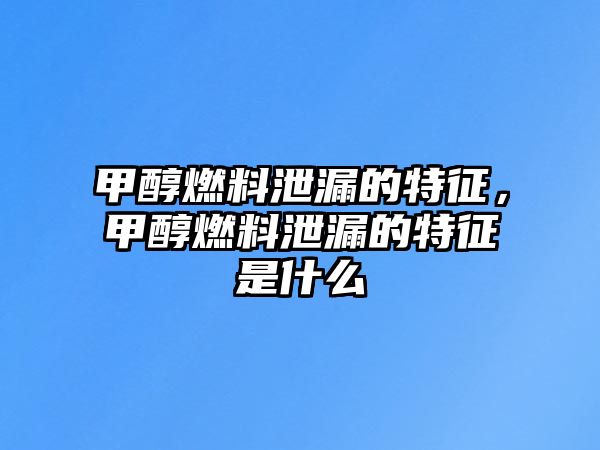 甲醇燃料泄漏的特征，甲醇燃料泄漏的特征是什么