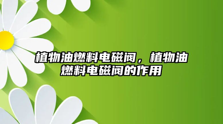 植物油燃料電磁閥，植物油燃料電磁閥的作用