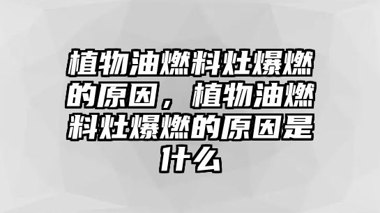 植物油燃料灶爆燃的原因，植物油燃料灶爆燃的原因是什么