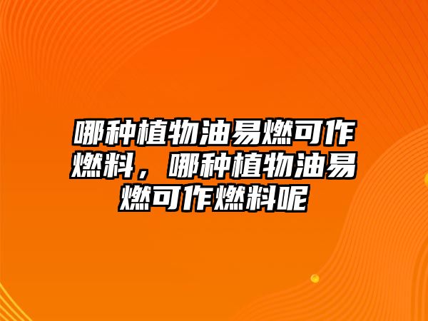 哪種植物油易燃可作燃料，哪種植物油易燃可作燃料呢