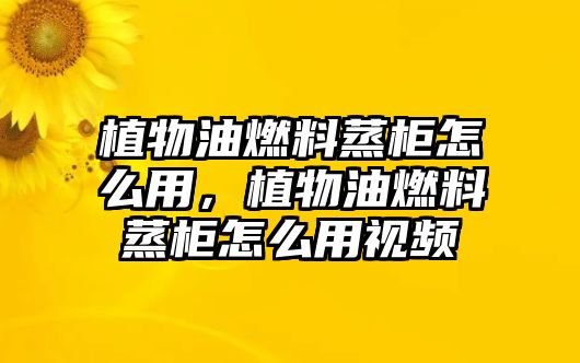 植物油燃料蒸柜怎么用，植物油燃料蒸柜怎么用視頻