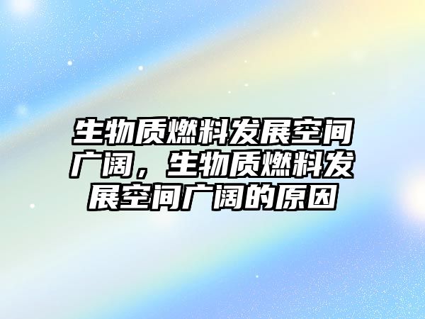 生物質(zhì)燃料發(fā)展空間廣闊，生物質(zhì)燃料發(fā)展空間廣闊的原因