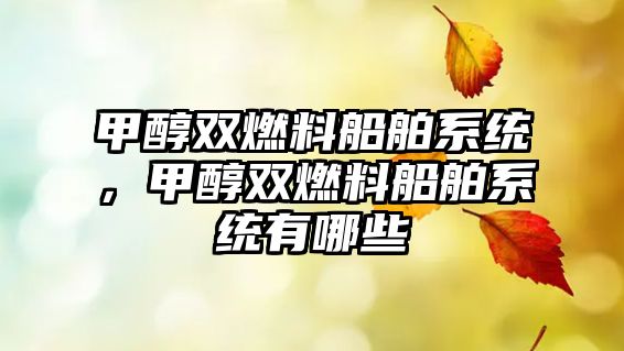 甲醇雙燃料船舶系統(tǒng)，甲醇雙燃料船舶系統(tǒng)有哪些