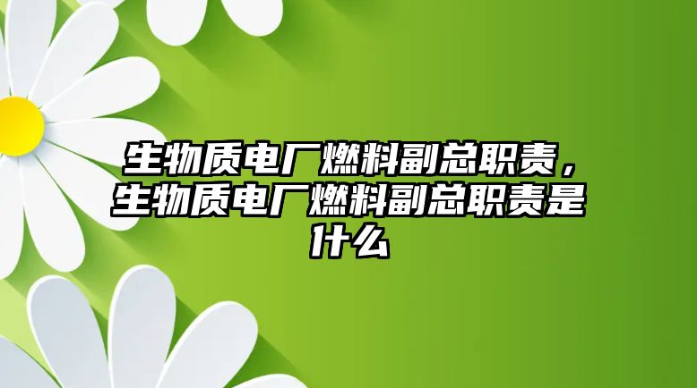 生物質(zhì)電廠燃料副總職責(zé)，生物質(zhì)電廠燃料副總職責(zé)是什么