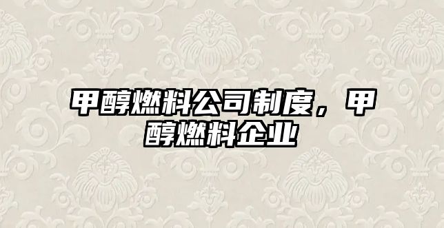 甲醇燃料公司制度，甲醇燃料企業(yè)