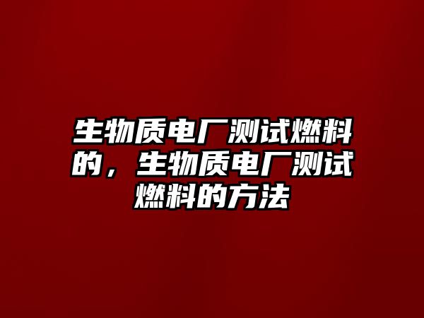 生物質(zhì)電廠測(cè)試燃料的，生物質(zhì)電廠測(cè)試燃料的方法