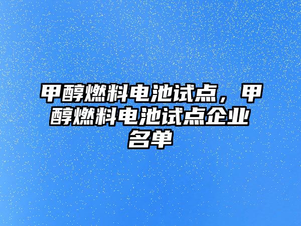 甲醇燃料電池試點，甲醇燃料電池試點企業(yè)名單