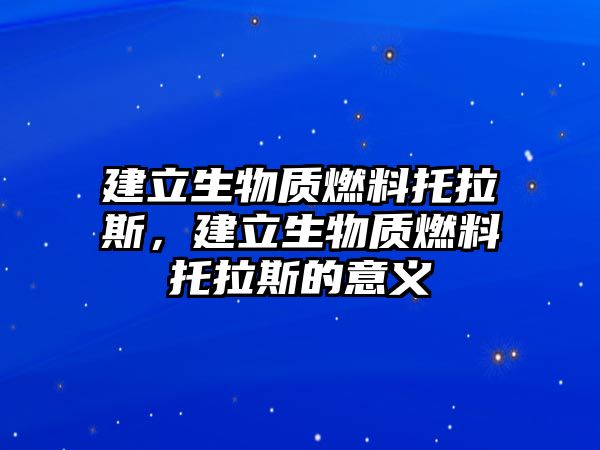 建立生物質燃料托拉斯，建立生物質燃料托拉斯的意義