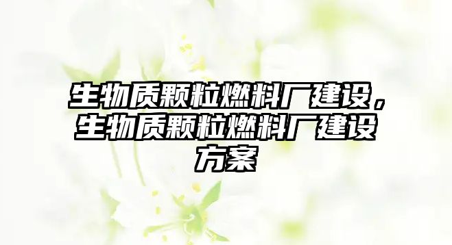 生物質(zhì)顆粒燃料廠(chǎng)建設(shè)，生物質(zhì)顆粒燃料廠(chǎng)建設(shè)方案