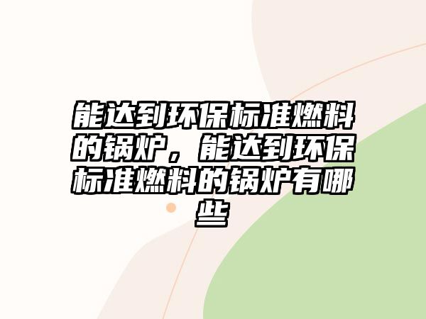 能達(dá)到環(huán)保標(biāo)準(zhǔn)燃料的鍋爐，能達(dá)到環(huán)保標(biāo)準(zhǔn)燃料的鍋爐有哪些