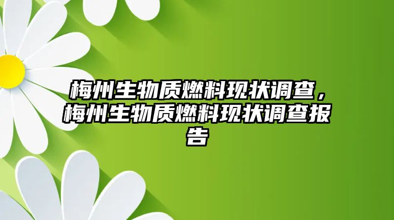 梅州生物質(zhì)燃料現(xiàn)狀調(diào)查，梅州生物質(zhì)燃料現(xiàn)狀調(diào)查報(bào)告