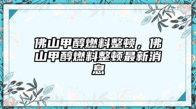 佛山甲醇燃料整頓，佛山甲醇燃料整頓最新消息