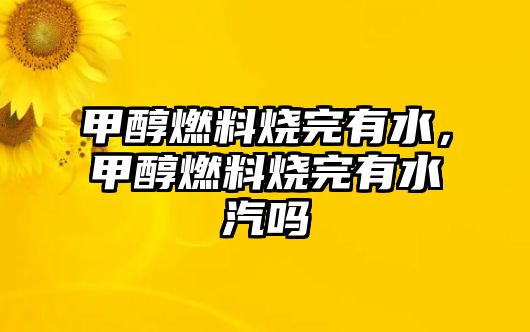 甲醇燃料燒完有水，甲醇燃料燒完有水汽嗎