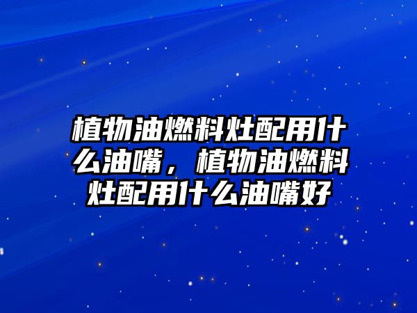 植物油燃料灶配用什么油嘴，植物油燃料灶配用什么油嘴好