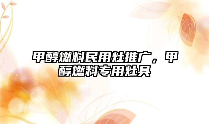 甲醇燃料民用灶推廣，甲醇燃料專用灶具