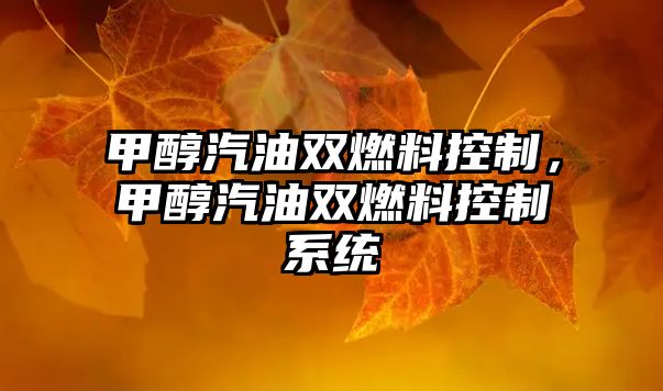 甲醇汽油雙燃料控制，甲醇汽油雙燃料控制系統(tǒng)