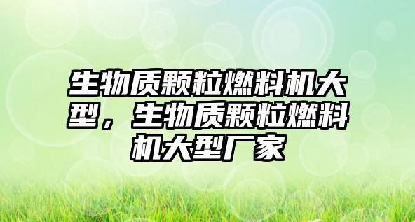 生物質(zhì)顆粒燃料機大型，生物質(zhì)顆粒燃料機大型廠家