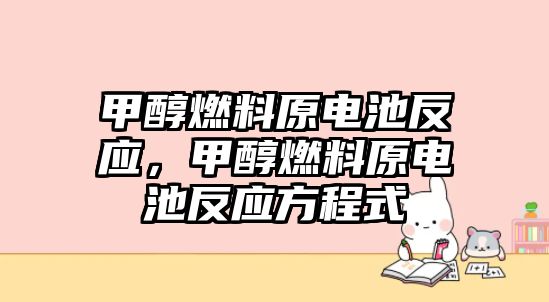 甲醇燃料原電池反應，甲醇燃料原電池反應方程式