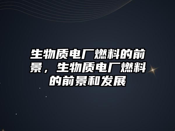 生物質(zhì)電廠燃料的前景，生物質(zhì)電廠燃料的前景和發(fā)展