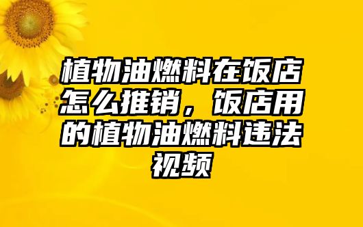 植物油燃料在飯店怎么推銷(xiāo)，飯店用的植物油燃料違法視頻