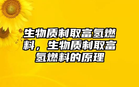 生物質(zhì)制取富氫燃料，生物質(zhì)制取富氫燃料的原理