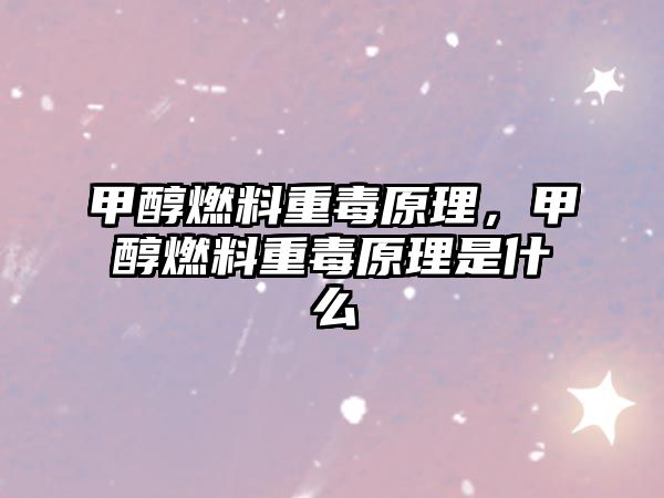 甲醇燃料重毒原理，甲醇燃料重毒原理是什么