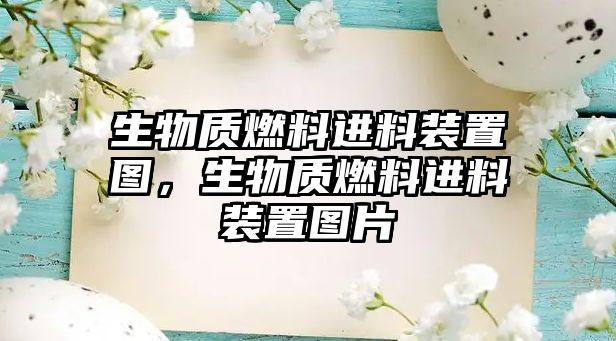 生物質燃料進料裝置圖，生物質燃料進料裝置圖片