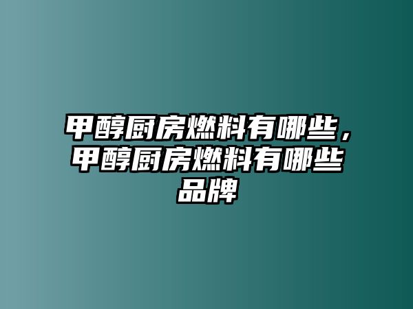 甲醇廚房燃料有哪些，甲醇廚房燃料有哪些品牌