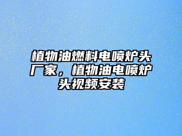 植物油燃料電噴爐頭廠家，植物油電噴爐頭視頻安裝