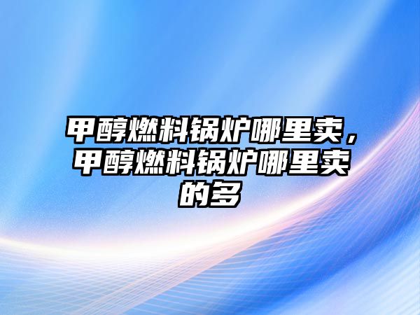 甲醇燃料鍋爐哪里賣，甲醇燃料鍋爐哪里賣的多