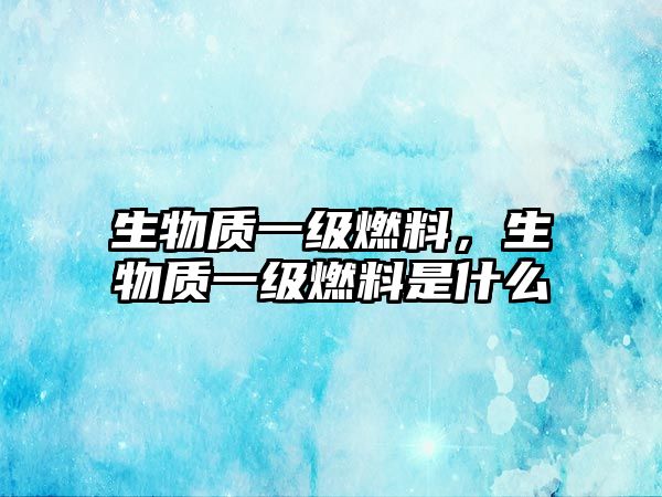 生物質(zhì)一級(jí)燃料，生物質(zhì)一級(jí)燃料是什么