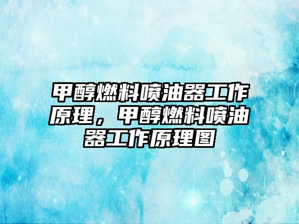 甲醇燃料噴油器工作原理，甲醇燃料噴油器工作原理圖