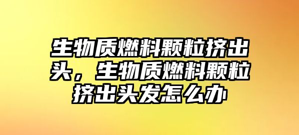 生物質(zhì)燃料顆粒擠出頭，生物質(zhì)燃料顆粒擠出頭發(fā)怎么辦