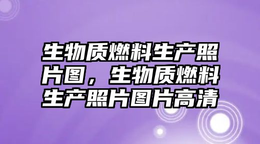 生物質(zhì)燃料生產(chǎn)照片圖，生物質(zhì)燃料生產(chǎn)照片圖片高清