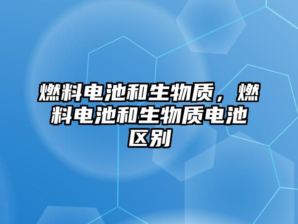 燃料電池和生物質(zhì)，燃料電池和生物質(zhì)電池區(qū)別