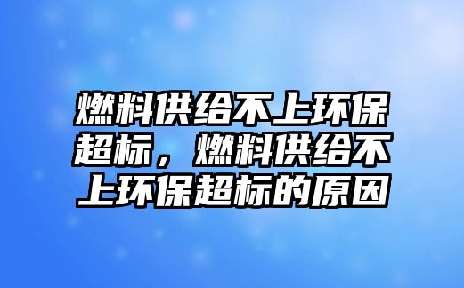 燃料供給不上環(huán)保超標(biāo)，燃料供給不上環(huán)保超標(biāo)的原因