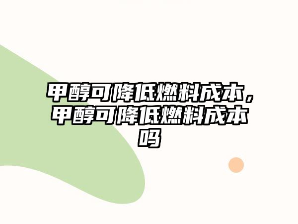 甲醇可降低燃料成本，甲醇可降低燃料成本嗎