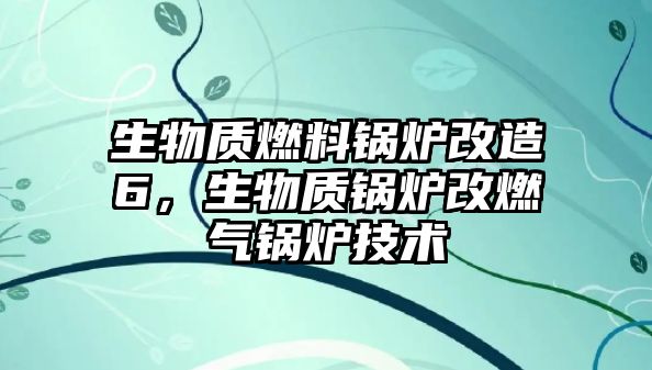 生物質(zhì)燃料鍋爐改造6，生物質(zhì)鍋爐改燃?xì)忮仩t技術(shù)