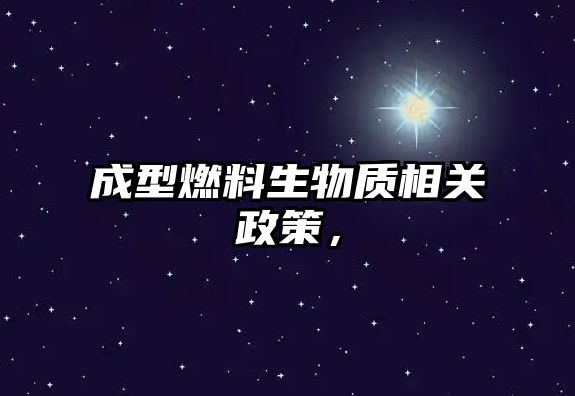成型燃料生物質(zhì)相關(guān)政策，