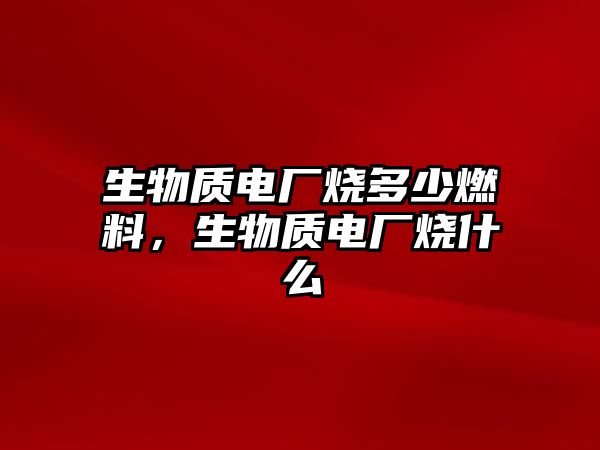 生物質(zhì)電廠燒多少燃料，生物質(zhì)電廠燒什么